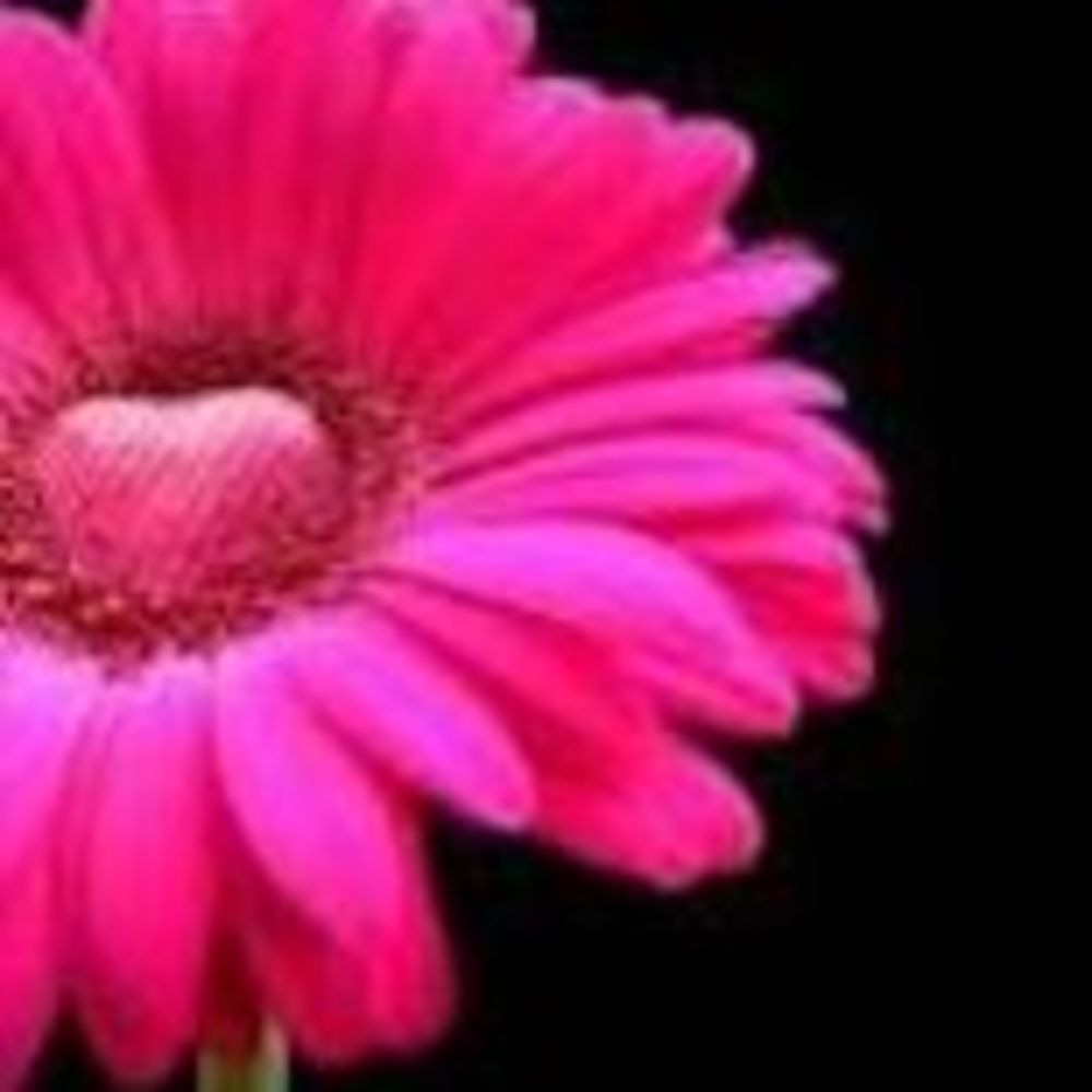 Meet your Posher, Kheli